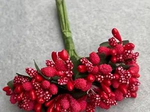 Тичинка "кашка"