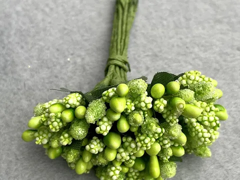 Тичинка "кашка"