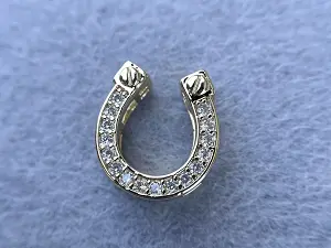 Бусина Підкова