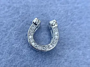 Бусина Підкова