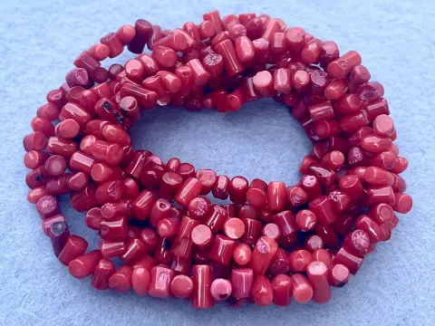 Корал фігурний