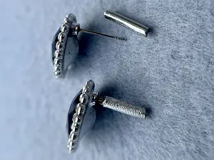 Швенза гвоздик 