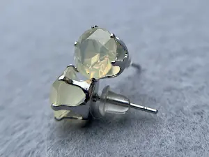 Сережки гвоздики