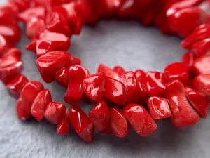 Корал-крихта дрібна