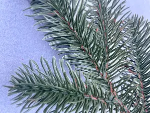 Штучна гілка ялини-1шт