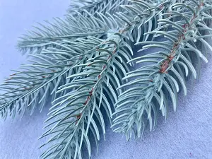 Штучна гілка ялини-1шт