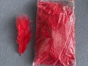 Перо пухнасте