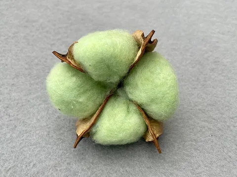 Бавовна -6см (15шт)