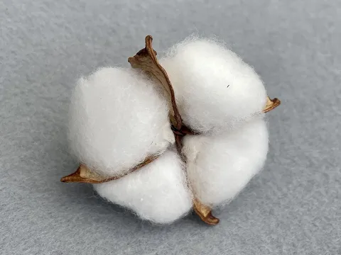 Хлопок -6см (15шт)