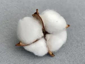 Бавовна -6см (15шт)