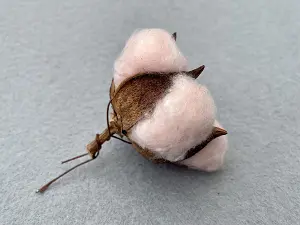 Хлопок -6см (15шт)