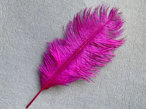 Перо страуса - 30 см