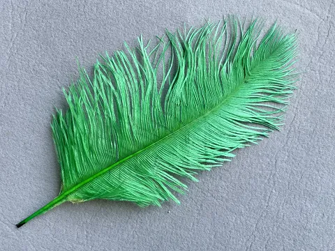 Перо страуса - 30 см