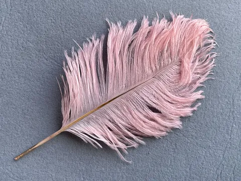 Перо страуса - 30 см