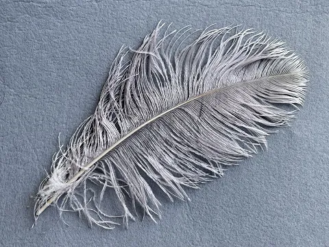 Перо страуса - 30 см