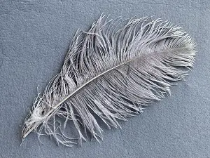 Перо страуса - 30 см