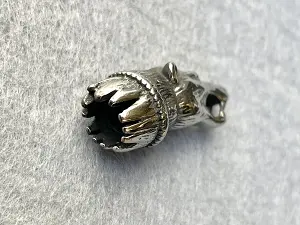 Кінцевик Койот