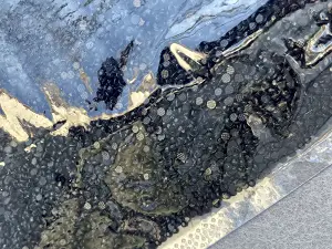 Стрази клейові -ss6 - 70000шт