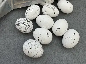 Пінопластові яйця - 1,5*1,8см -100шт