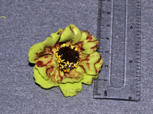 Квітка 50шт